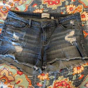 BKE Payton Denim Shorts